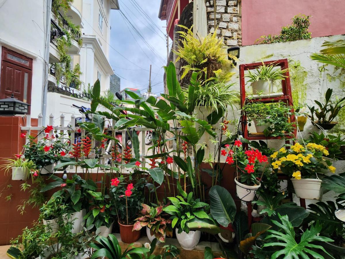 Binh Dao Hotel - Khach San Ngay Trung Tam Gia Re دالات المظهر الخارجي الصورة